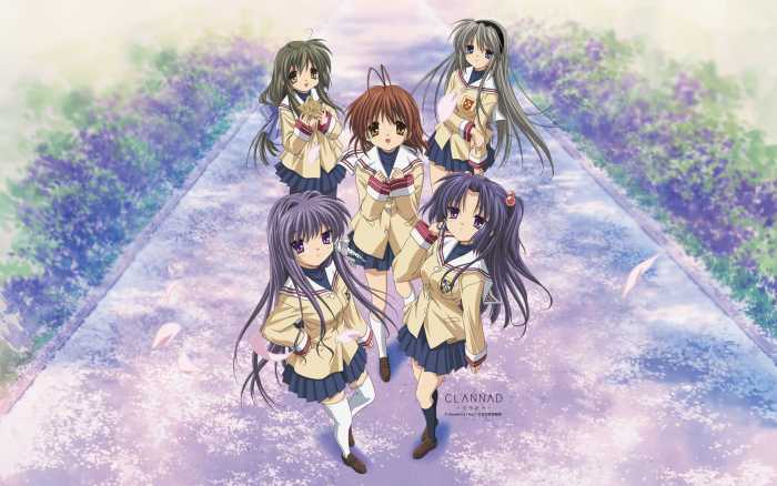 Anime Reviews (2000s): CLANNAD / CLANNAD AFTER STORY Complete