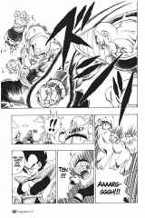 Dragon Ball manga