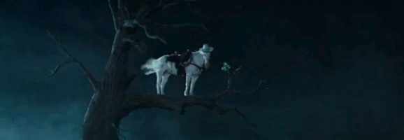 Screen-Shot-HORSE IN TREE