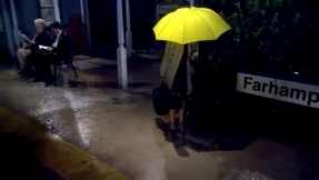 Yellow Umbrella girl HIMYM