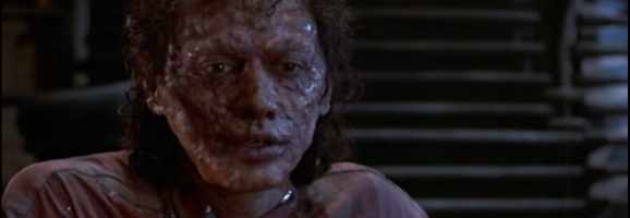Is The Fly more than just a great example of make-up effects?
