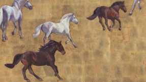 All-the-pretty-horses-lg