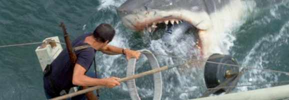 Brody, the vulnerable hero, fights the shark in Jaws. 