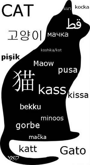 cat languages