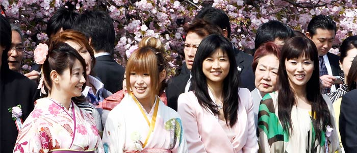 A sakura blossom viewing in Japan.