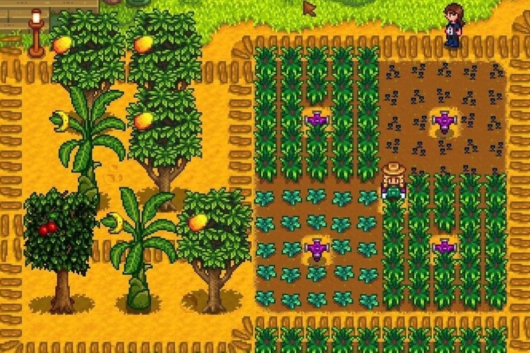 A screenshot of Stardew Valley, showing the player in their farm on Ginger Island. There are fruit trees and blocks of growing plants, and simple wooden paths around the area.