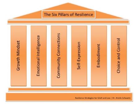 The Six Pillars of Resilience
