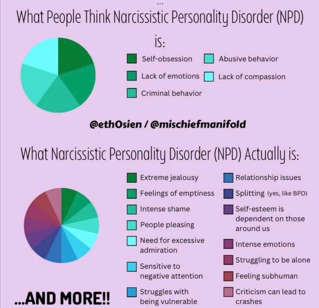 Despite all the academic research done, more is needed on NPD and how it feels to have it, as this infograph suggests