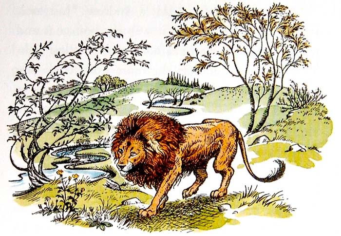 Aslan