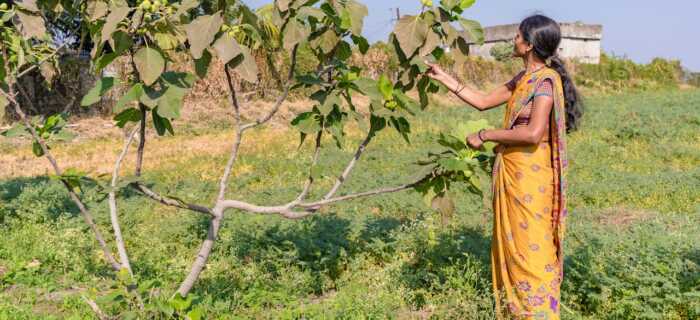 Woman Touching Leaves