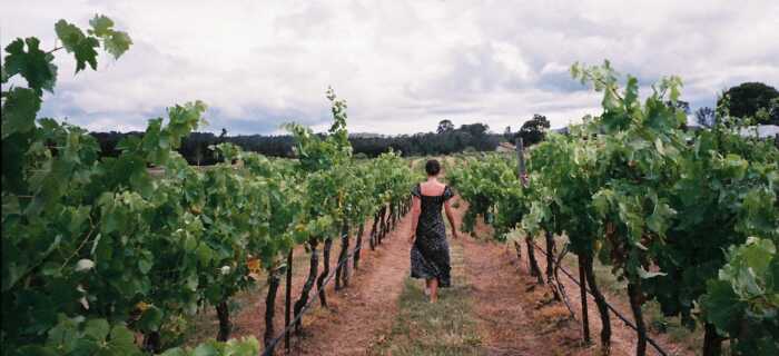 Woman Walking in Vineyard