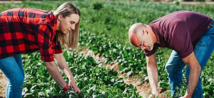 Man and Woman Working in the Fields