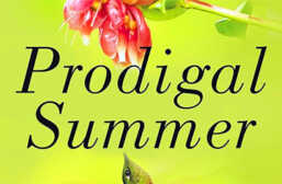 Eco-feminism in Barbara Kingsolver’s Prodigal Summer