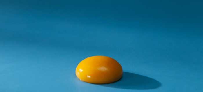 A yellow egg yolk against a blue background is a common motif throughout the film